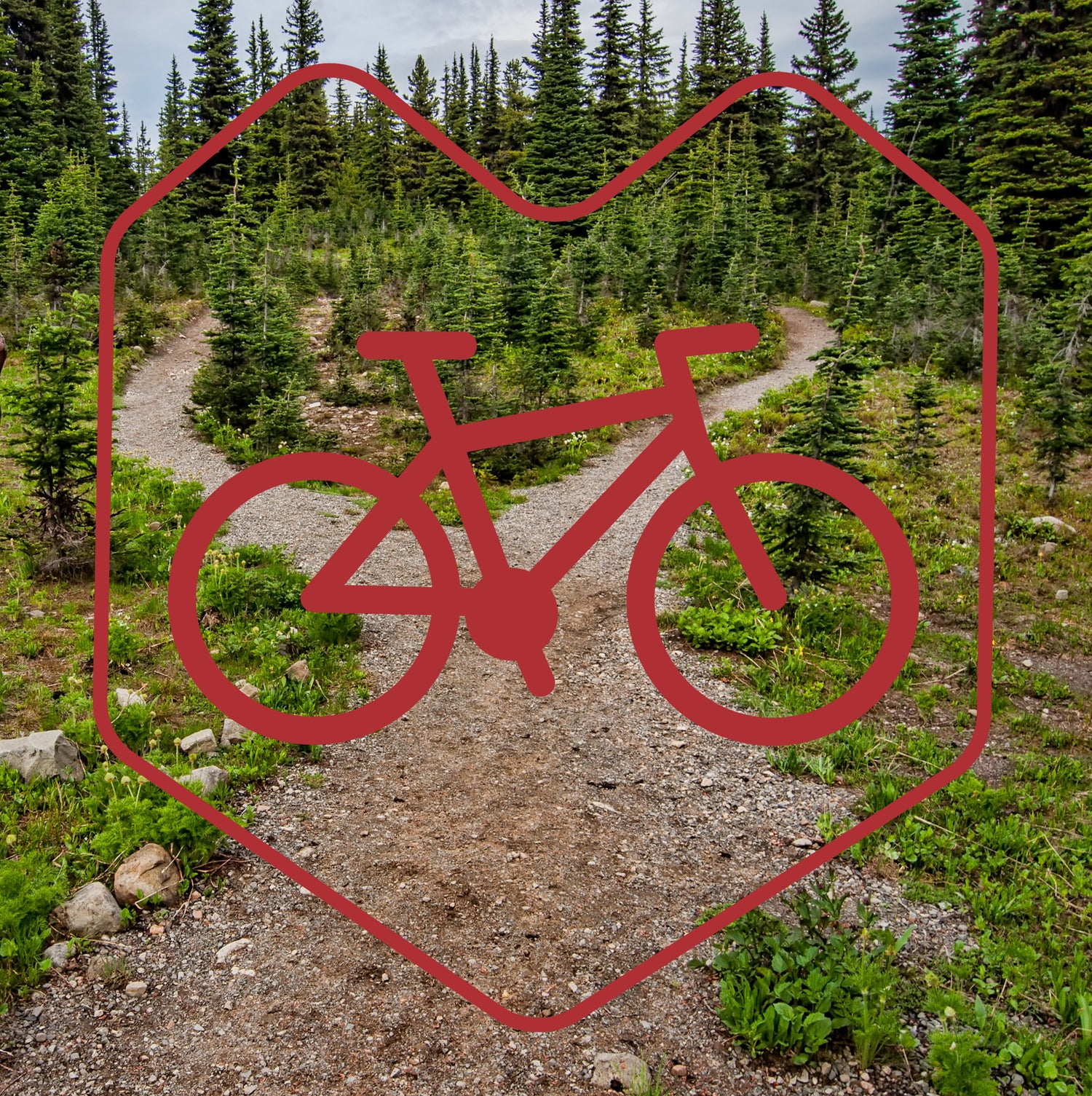 bike graphic over woodland trail
